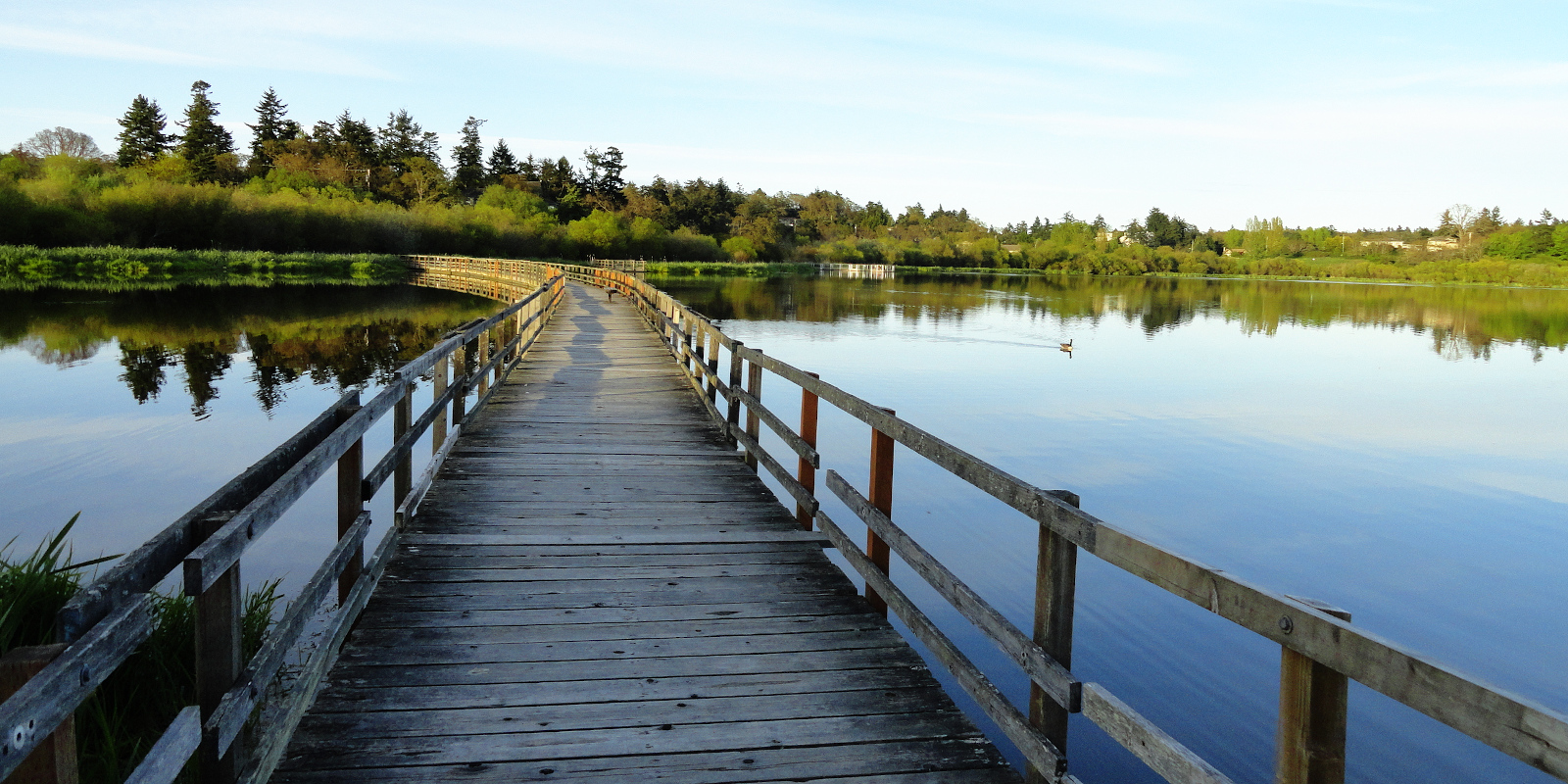 Get Outside! Swan Lake & Christmas Hill Cascadia Magazine